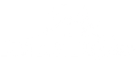 Logo de Dustbusters Duo, servicio de limpieza de casas y oficinas en Orlando, Florida